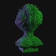 vid0173.png Alien Insectoid Bust