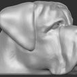 4.jpg English Mastiff head for 3D printing