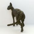 IMG_20191122_140812.jpg STL file Oriental Cat BJD・3D print design to download