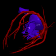 20.png 3D Model of Heart and Lungs