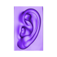 Ear_high.stl EAR FOR ARTIST - Anatomy and Fine Arts studies -