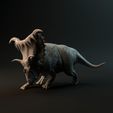 Kosmoceratops_angry.jpg Kosmoceratops angry 1-35 scale pre-supported dinosaur