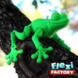 Frog_08.jpg Cute Flexi Print-in-Place Frog