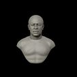 21.jpg Dr Dre Bust 3D print model