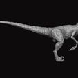 r8.jpg Modelo de figura Raptor