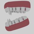 View4.jpg Animal Teeth 3D Model