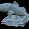 Bass-stocenej-21.png fish bass trophy statue detailed texture for 3d printing