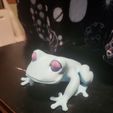 20250511_214520.jpg Tree Frog