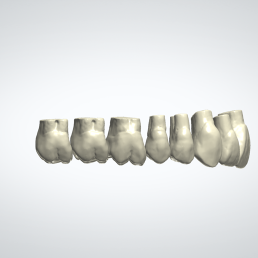 🦷 3Shape Smile Library Robtoly-Triangular・ STL File for 3D printing・Cults