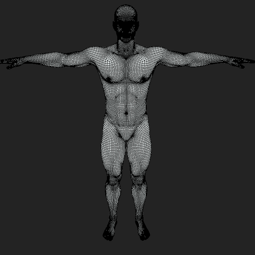 7.png Man Body Base Mesh | T-Pose
