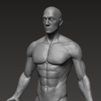 10.png Anatomically correct muscular male body Low and High Poly Low-poly 3D model