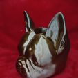 French Bull Dog Frenchie Pflanzentopf, Frenchie Pflanzentopf