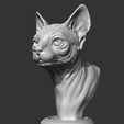 04.png Sphynx Cat Head AM08 3D print model