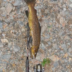 20230513_174655.jpg STL file trout lure・Template to download and 3D print
