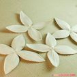 01c.jpg flowers: Ixora - 3D printable model