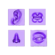 Features.obj Archivo STL gratis Características faciales・Diseño de impresora 3D para descargar