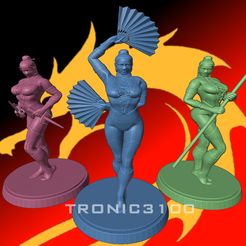 ninja_F1.jpg Fichier STL Pack de miniatures Mortal Kombat Female Ninja.・Plan imprimable en 3D à télécharger