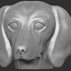 1.jpg Fichier STL Tête de chien teckel pour l'impression 3D・Modèle à imprimer en 3D à télécharger