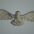 Owl1.png Flying Barn Owl
