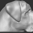5.jpg English Mastiff head for 3D printing