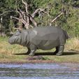 Hippo3.jpg Hippo low poly