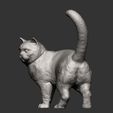 british-shorthair-cat10.jpg british shorthair cat 3D print model