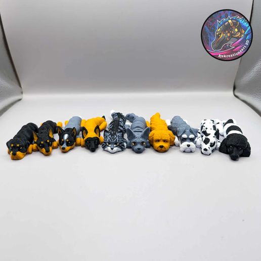 418593765_420153167190443_2383765147220980349_n.jpg Baby Flexi Dogs and Cats Set 4 (set of 10)