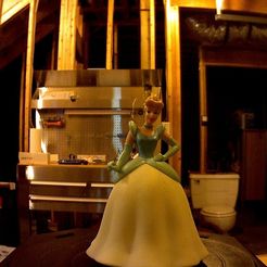 photo.jpg Free 3D file Cinderella Multiscan・3D print object to download
