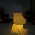 IMG_8696.jpg HIPPO nightlight