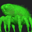 Zrzut-ekranu-2025-11-22-232554.png TINY SPIDER