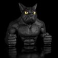 Bulldogg-DozerShop_0000.jpg Bulldog-Dozer Bust-