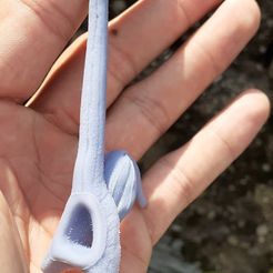 244558994_270822538234782_1669491634826007394_n.jpg Archivo 3D Aristolochia foetida・Modelo para descargar y imprimir en 3D