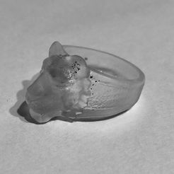 IMG-1001.JPG Fichier STL gratuit Bagues de lion・Design à télécharger et à imprimer en 3D