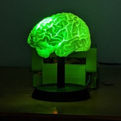 Green_Close_Up.jpg Télécharger fichier STL gratuit Cerveau lumineux à LED RVB alimenté par Arduino Uno • Plan pour imprimante 3D, BakedBananaDesign