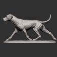 rhodesian-ridgeback-running15.jpg rhodesian ridgeback running 3D printed model