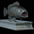 White-grouper-open-mouth-statue-10.png fish white grouper / Epinephelus aeneus open mouth statue detailed texture for 3d printing