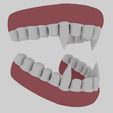 View1.jpg Animal Teeth 3D Model