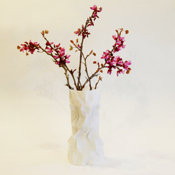 Capture d’écran 2016-11-14 à 17.38.17.png Бесплатный STL файл Persian Spring Vase・Объект для скачивания и 3D печати