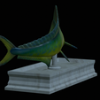 mahi-mahi-mouth-statue-13.png fish mahi mahi / common dolphin fish open mouth statue detailed texture for 3d printing