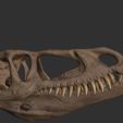 ZBrush-Document5.jpg Dilophosaurus Skull