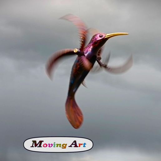 Kolibri-2.jpg Windspinner Hummingbird pré-supposé