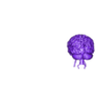 brain obj.obj 3D Model of Brain and Aneurysm