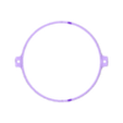 Guide-Ring101.stl "Autorotation Learned from Flying Seeds" Experimental Kit