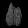 Rocks4.0.PNG Rocks for scatter terrain 28mm