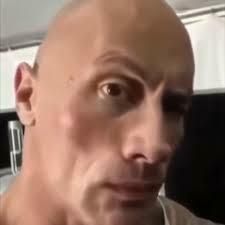 download.jpeg le caillou johnsons pebble