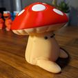 PXL_20231224_143246090.jpg Sad Fun-Guy - Palia Plushie