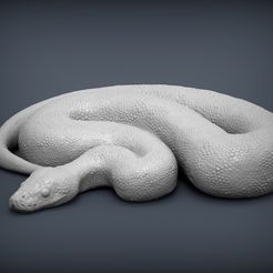 Ball-Pythons1.jpg Ball Pythons 3D print model