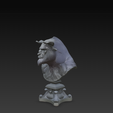 Screenshot-2025-10-13-115208.png The Warrior Bull Bust