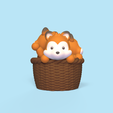 FoxesInTheBasket1.png Foxes In The Basket