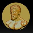 004.jpg MMA and UFC portrait relief model
